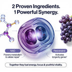NutraHack Labs Liposomal NAD+
