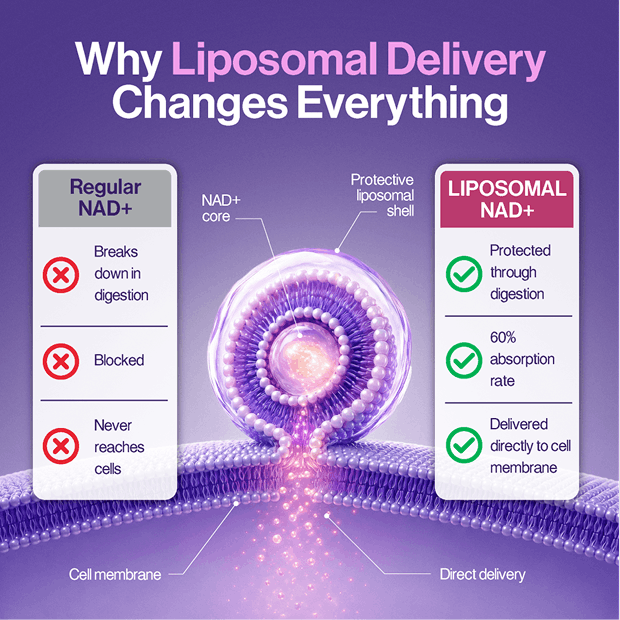 NutraHack Labs Liposomal NAD+ (Women)