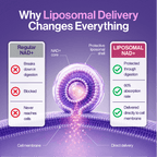 NutraHack Labs Liposomal NAD+ (Women)